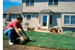 Sod and Turf Materials and Service